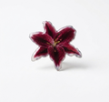 Lily Flower